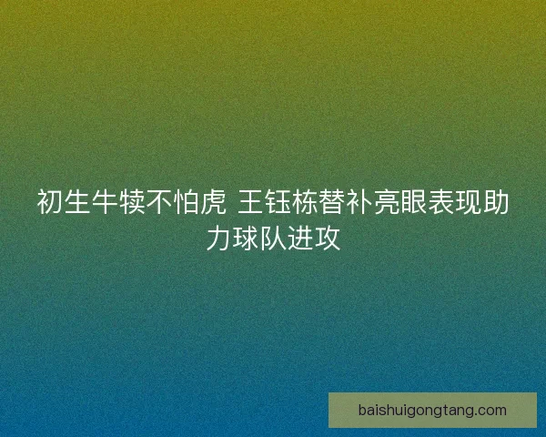 初生牛犊不怕虎 王钰栋替补亮眼表现助力球队进攻