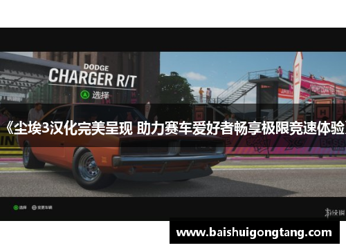 《尘埃3汉化完美呈现 助力赛车爱好者畅享极限竞速体验》