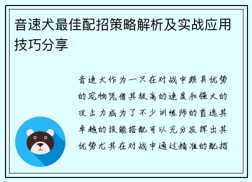 音速犬最佳配招策略解析及实战应用技巧分享